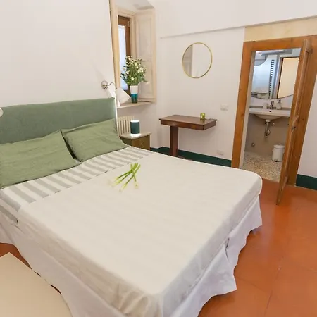 Spada Donadeo * 레퀼레